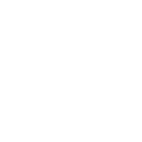diversification icon (2)
