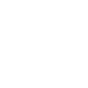 risk icon